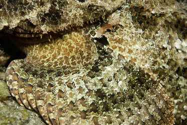 Similar image 8099103