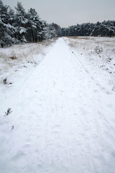 Similar image 8099115