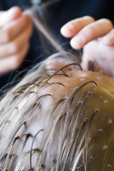 Similar image 8099127