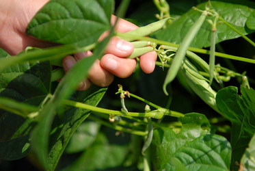 Similar image 8099128