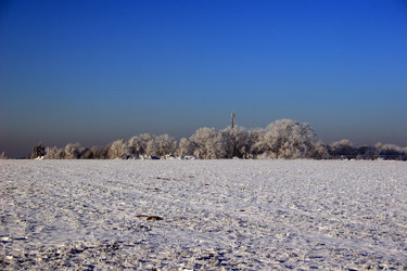 Similar image 8099129