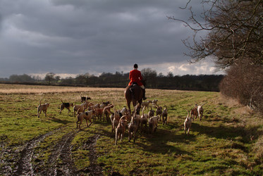 Similar image 8099130