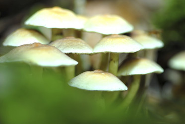 Similar image 8099133