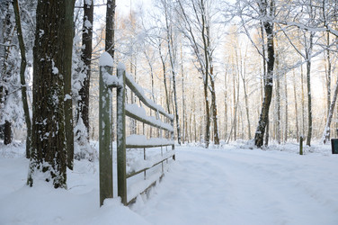 Similar image 8099135