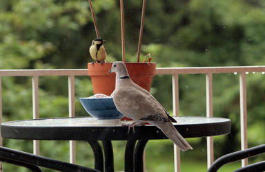 Similar image 8099139