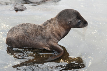 Similar image 8099154