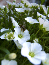 Similar image 8099161