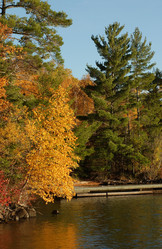 Similar image 8099163