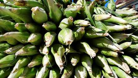 Similar image 8099168