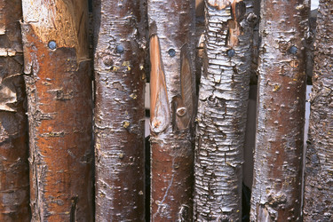 Similar image 8099169