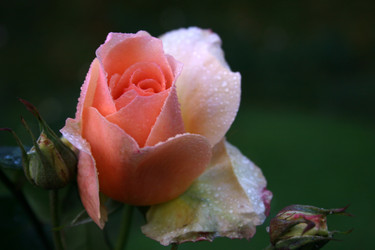 Similar image 8099189