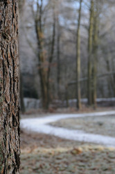 Similar image 8099194