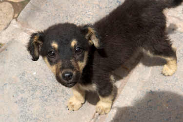 Similar image 8099203