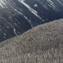 Similar image 8099205