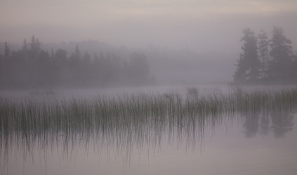 Similar image 8099208