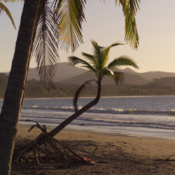 Similar image 8099215