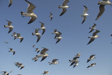 Similar image 8099238