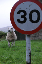 Similar image 8099244