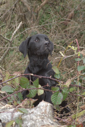 Similar image 8099248