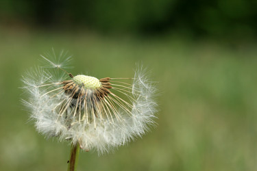 Similar image 8099250