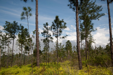 Similar image 8099252