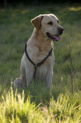 Similar image 8099261