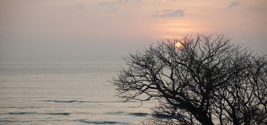 Similar image 8099264