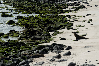 Similar image 8099268