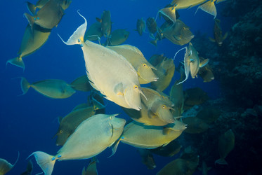 Similar image 8099293