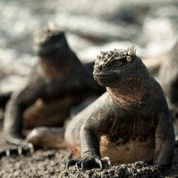 Similar image 8099294