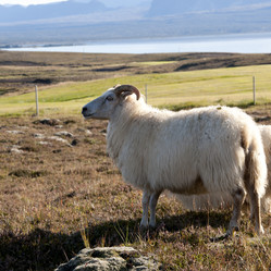 Similar image 8099295