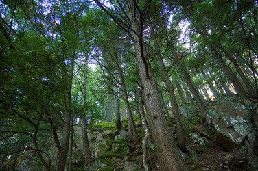 Similar image 8099303