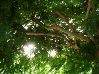 Similar image 8099306