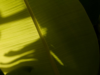 Similar image 8099315