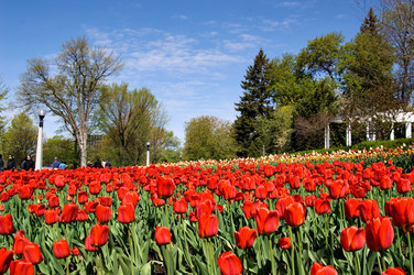 Similar image 8099316