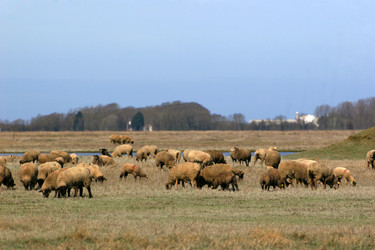 Similar image 8099324