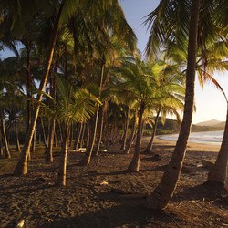 Similar image 8099328