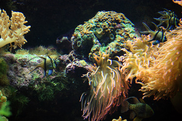 Similar image 8099333