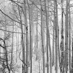 Similar image 8099347