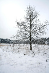 Similar image 8099348