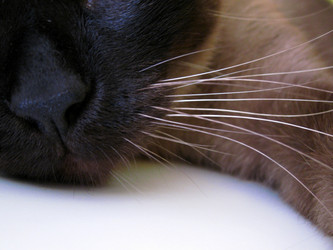 Similar image 8099351