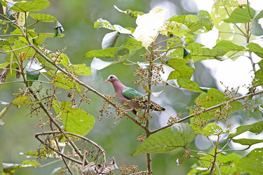 Similar image 8099358