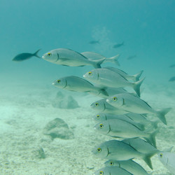 Similar image 8099367