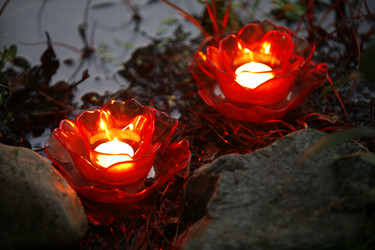 Similar image 8099368