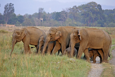 Similar image 8099385