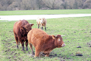 Similar image 8099391