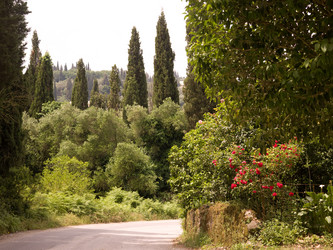 Similar image 8099393