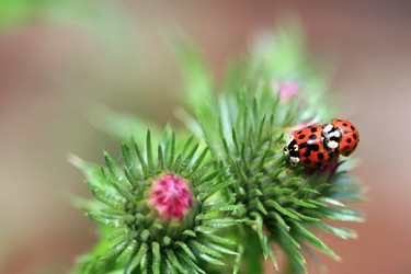 Similar image 8099395