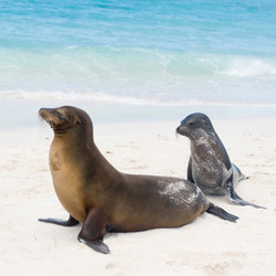 Similar image 8099399