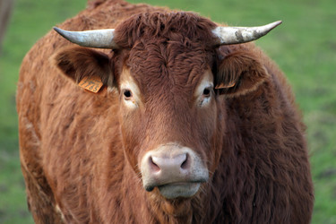 Similar image 8099409